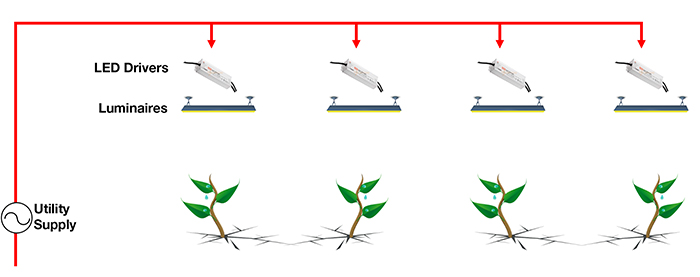 above: The  conventional  distributed power topology used in  horticultural lighting